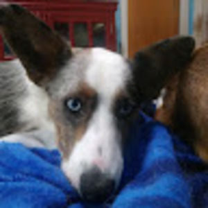 Meet your Posher, Curbside